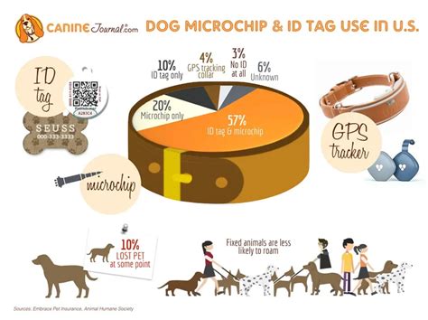 how much does a pet rfid chip cost|petco microchipping cost.